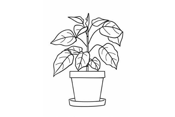 Download Pot Plant Adults Coloring Page - Adults coloring page Collection