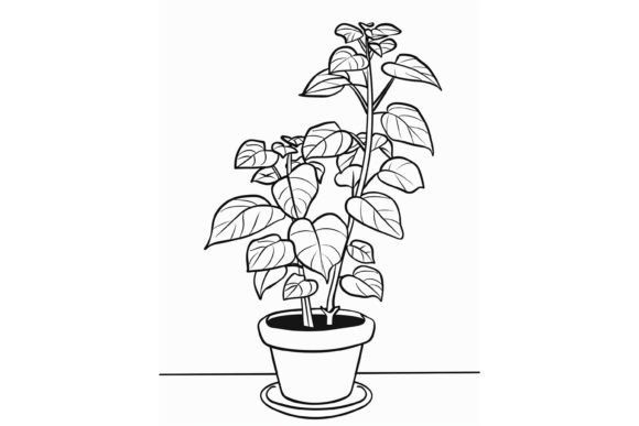 Download Pot Plant Adults Coloring Page - Adults coloring page Collection